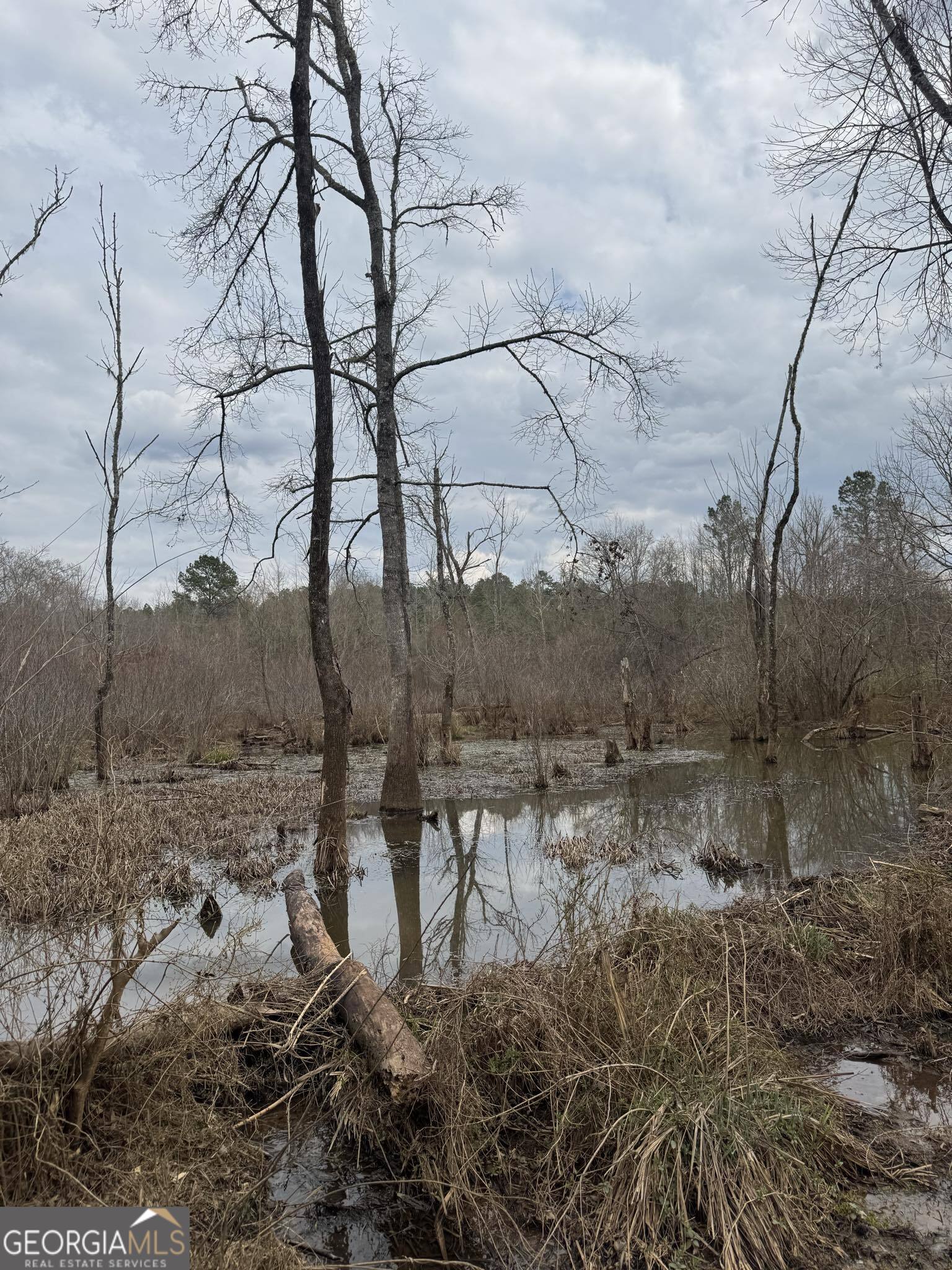 0 Jordon Road Waverly Hall, GA 31831 - Photo 6 of 22