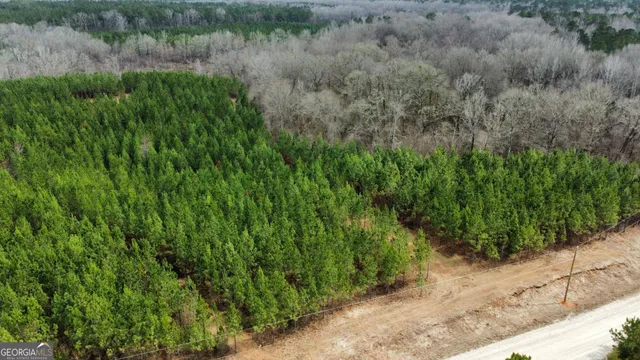 $349,999 | 0 Jordon Road, Waverly Hall, GA 31831