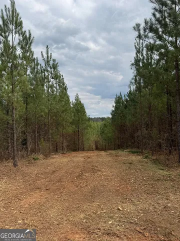 $349,999 | 0 Jordon Road, Waverly Hall, GA 31831