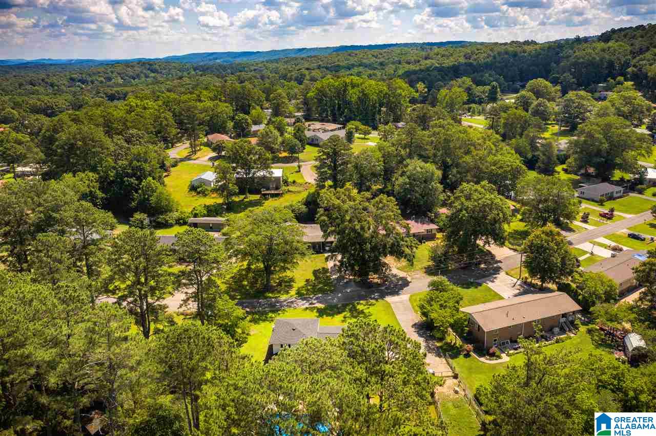 11 Pine Circle Oneonta, AL 35121 - Photo 43 of 43