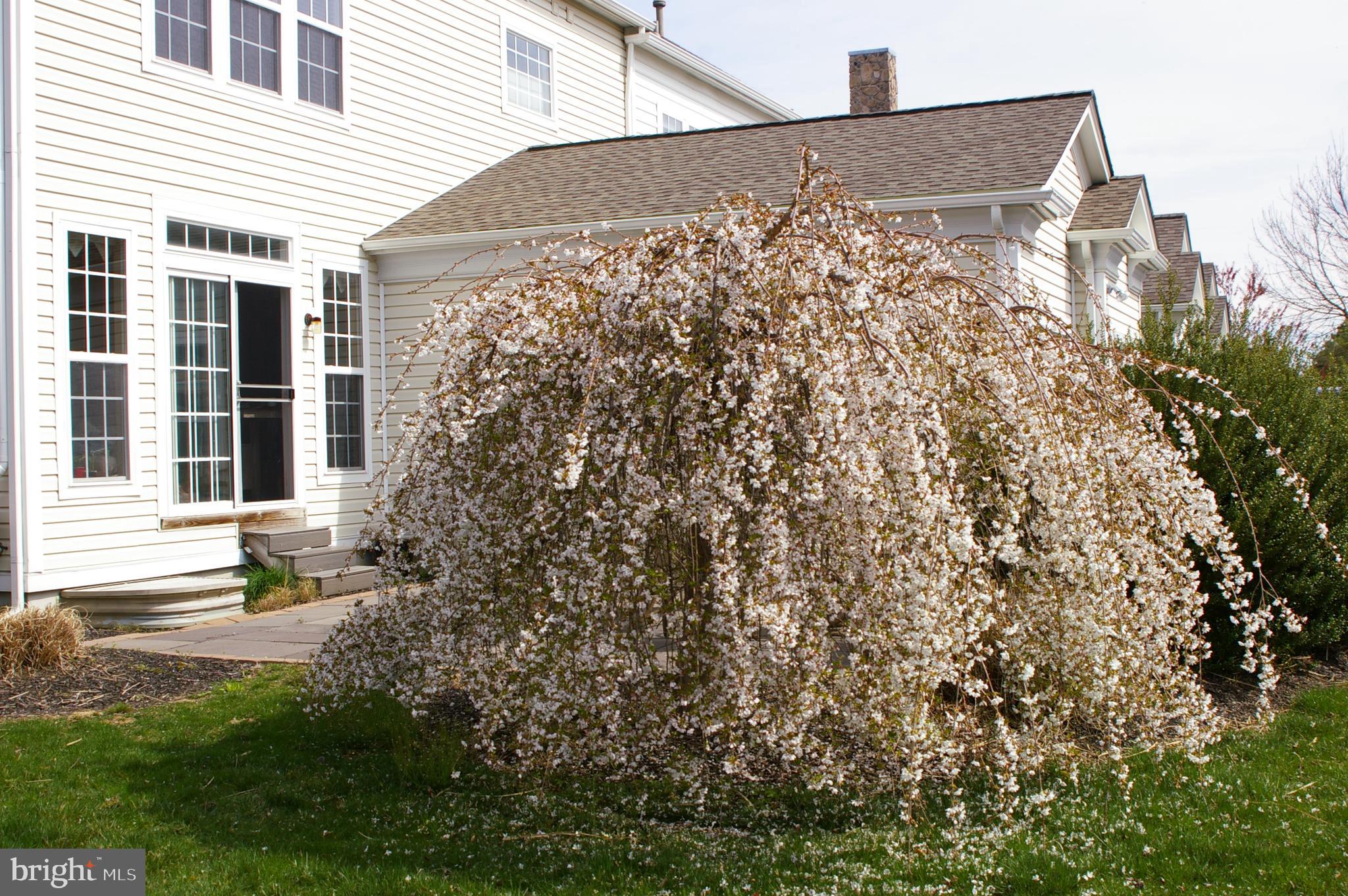 677 Churchill Road Chester Springs, PA 19425 - Photo 49 of 61
