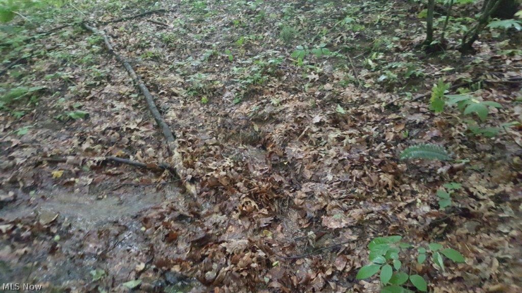 5846 Holmes Church Road Northeast New Philadelphia, OH 44663 - Photo 7 of 34