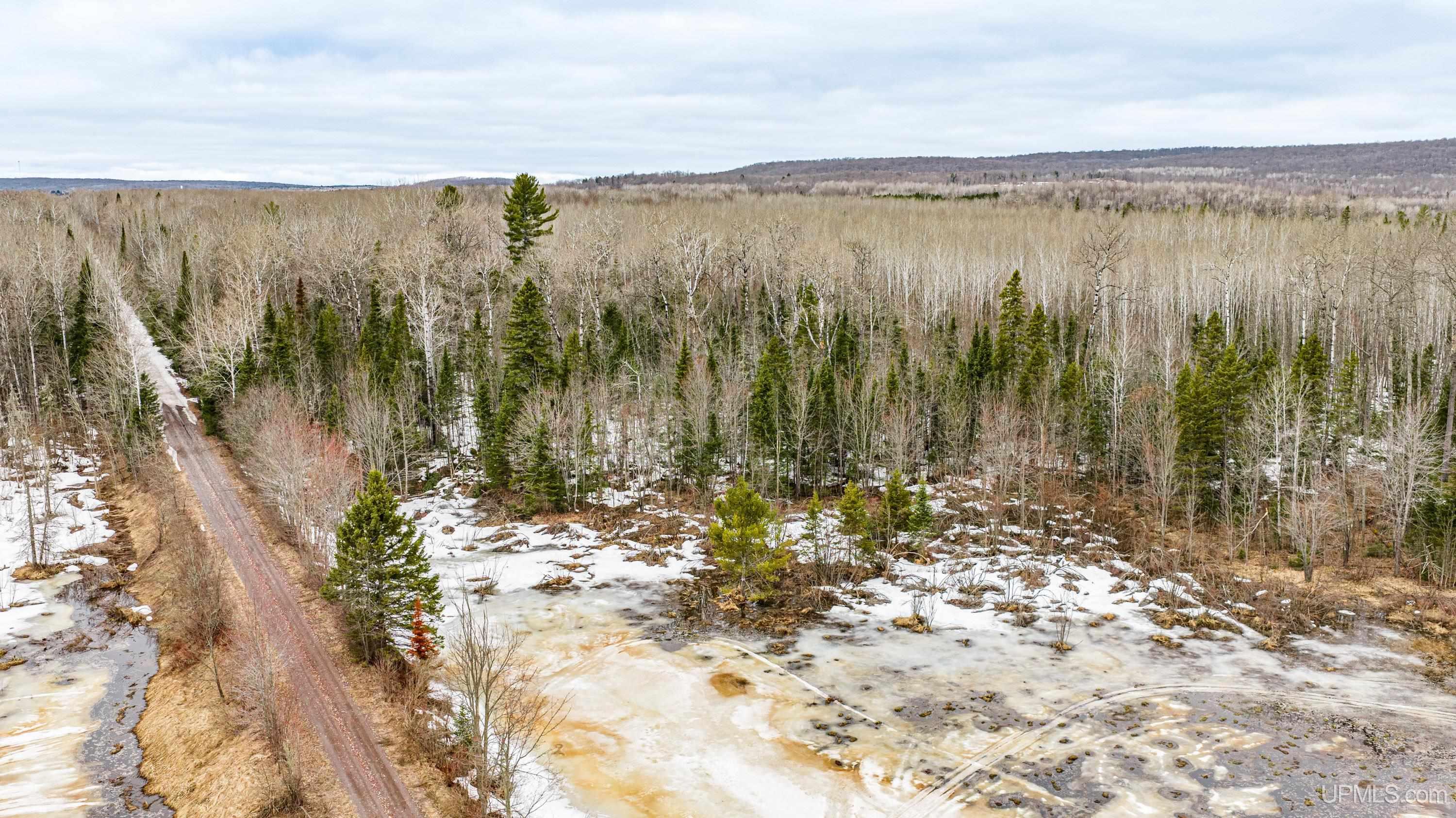 Tbd Off M28 Road, Unit NO LEGAL INSURABLE ACCESS Ewen, MI 49925 - Photo 6 of 23