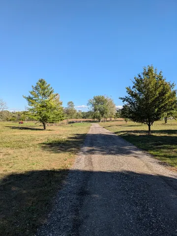 a view of an ocean and beach