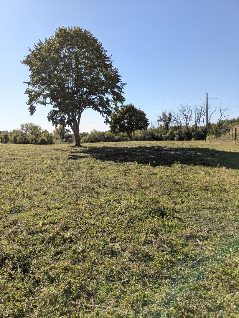 0 South Il Rt 47 Woodstock, IL 60098 - Photo 11 of 23 a view of lake with houses