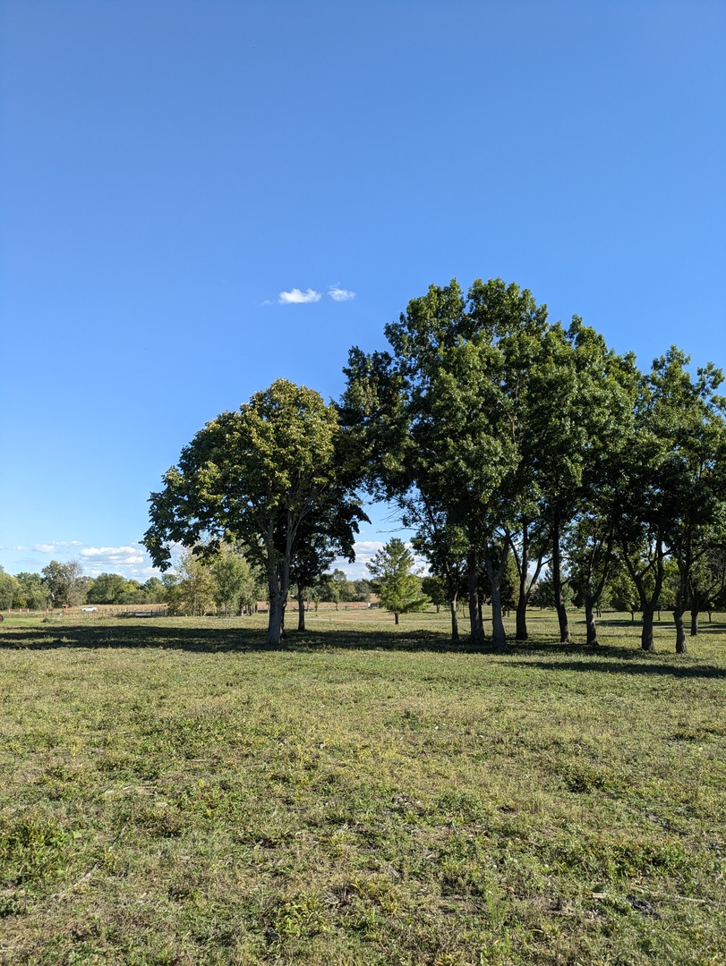 0 South Il Rt 47 Woodstock, IL 60098 - Photo 13 of 23 a view of outdoor space with city view