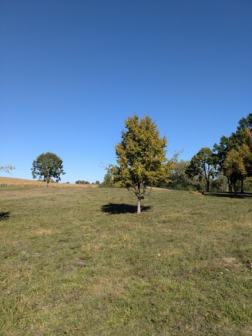 0 South Il Rt 47 Woodstock, IL 60098 - Photo 14 of 23 a view of a garden