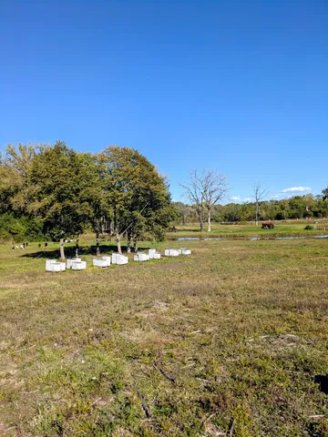 a view of a large body of water with a building in the background