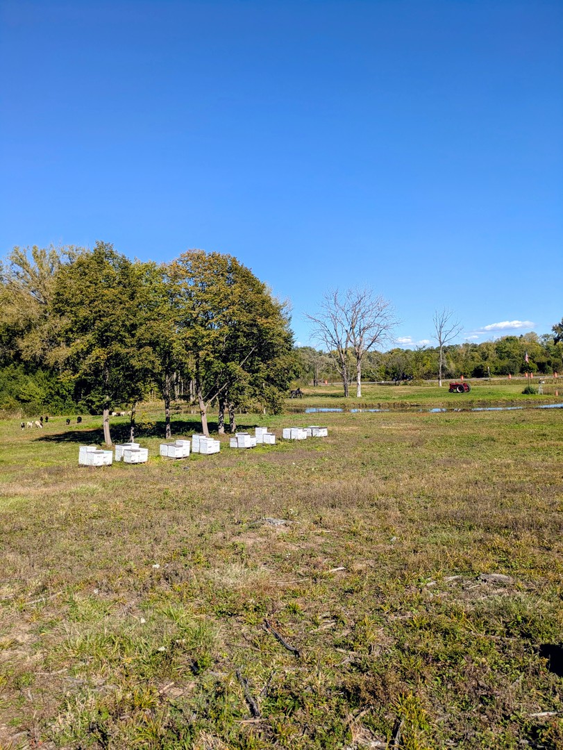 0 South Il Rt 47 Woodstock, IL 60098 - Photo 2 of 23 a view of a large body of water with a building in the background