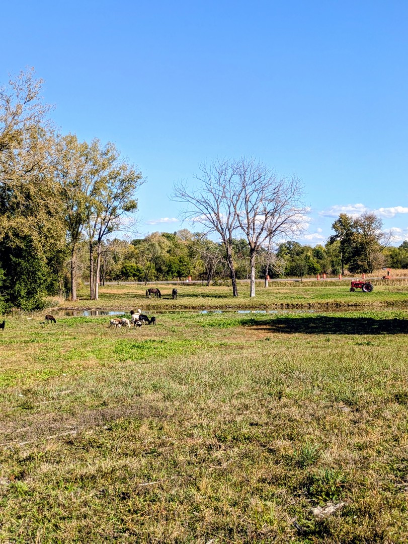 0 South Il Rt 47 Woodstock, IL 60098 - Photo 4 of 23 a view of a yard with an outdoor space