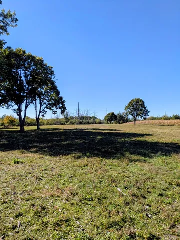a view of a lake from a yard