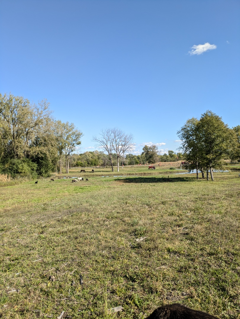 0 South Il Rt 47 Woodstock, IL 60098 - Photo 8 of 23 a view of a lake view