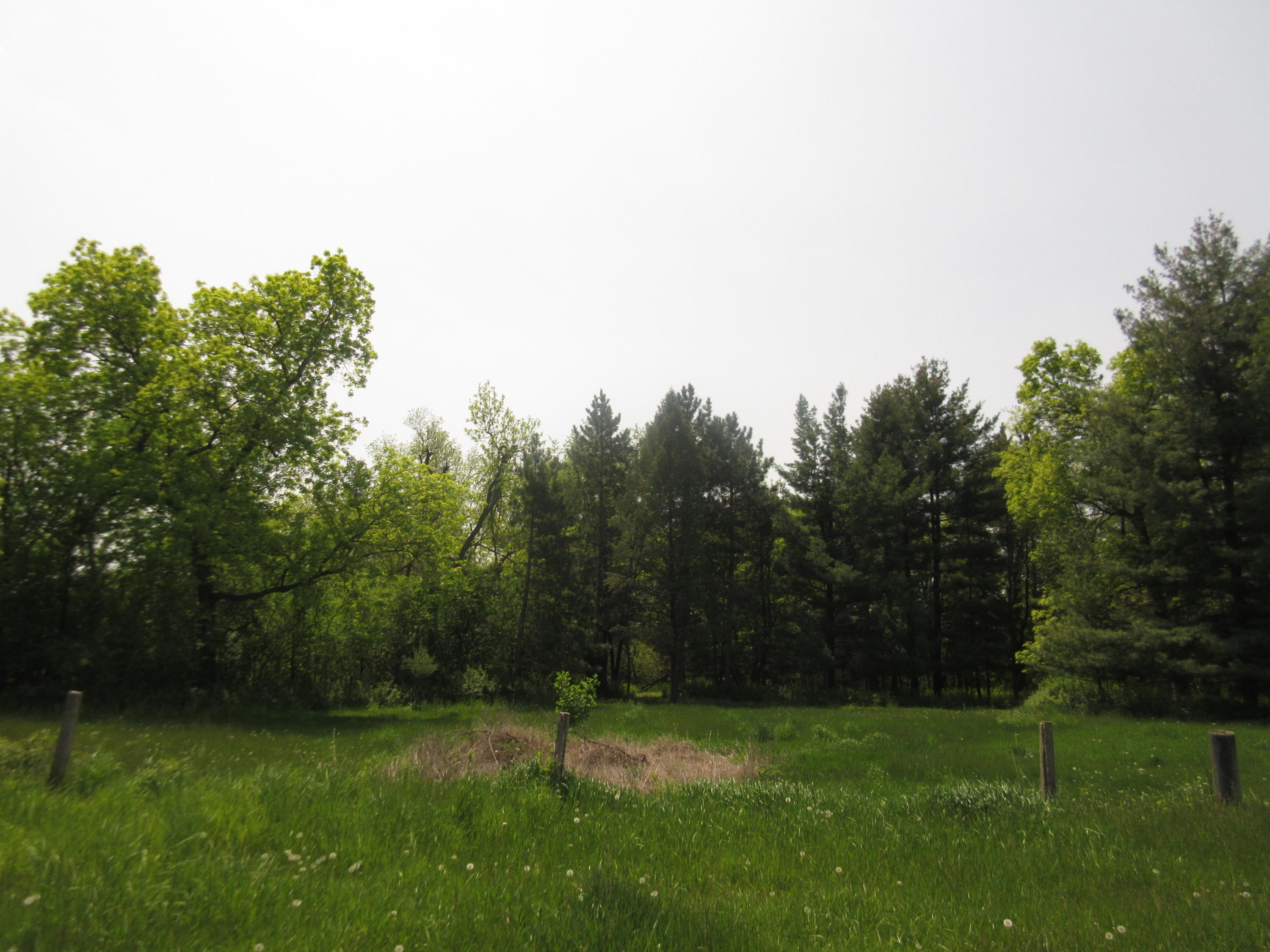 Exquisite 10 acre parcel