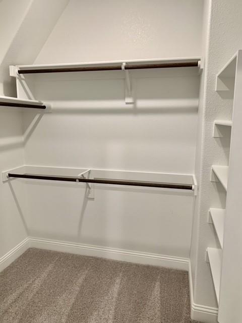 4404 Thalia Way Forney, TX 75126 - Photo 11 of 20 a close view of closet
