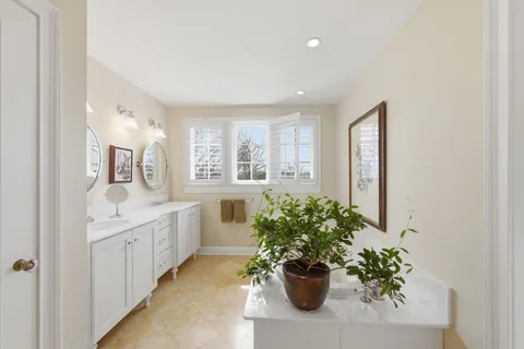 a bathroom with a potted plant on the counter and sink