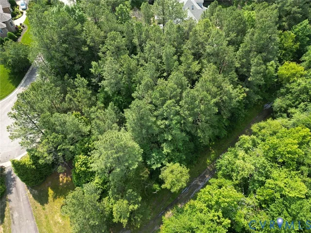 view of a lush green forest with lots of trees