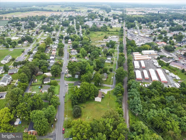 an aerial view of residential houses with outdoor space and trees