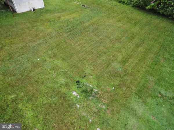 a view of a big yard with plants and large trees
