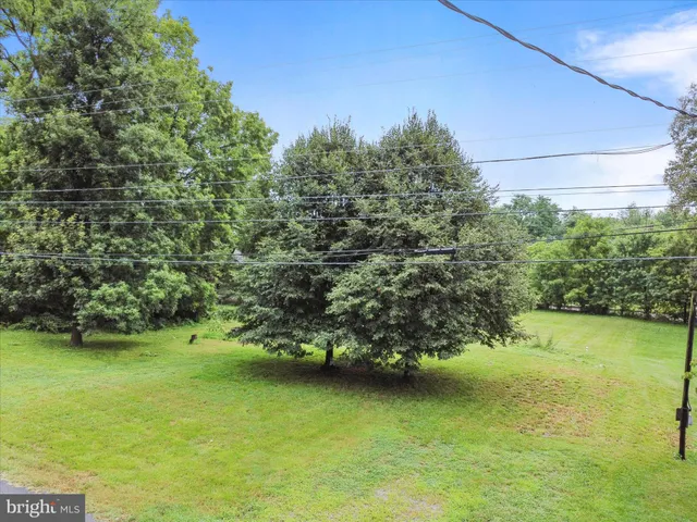 a view of a green yard