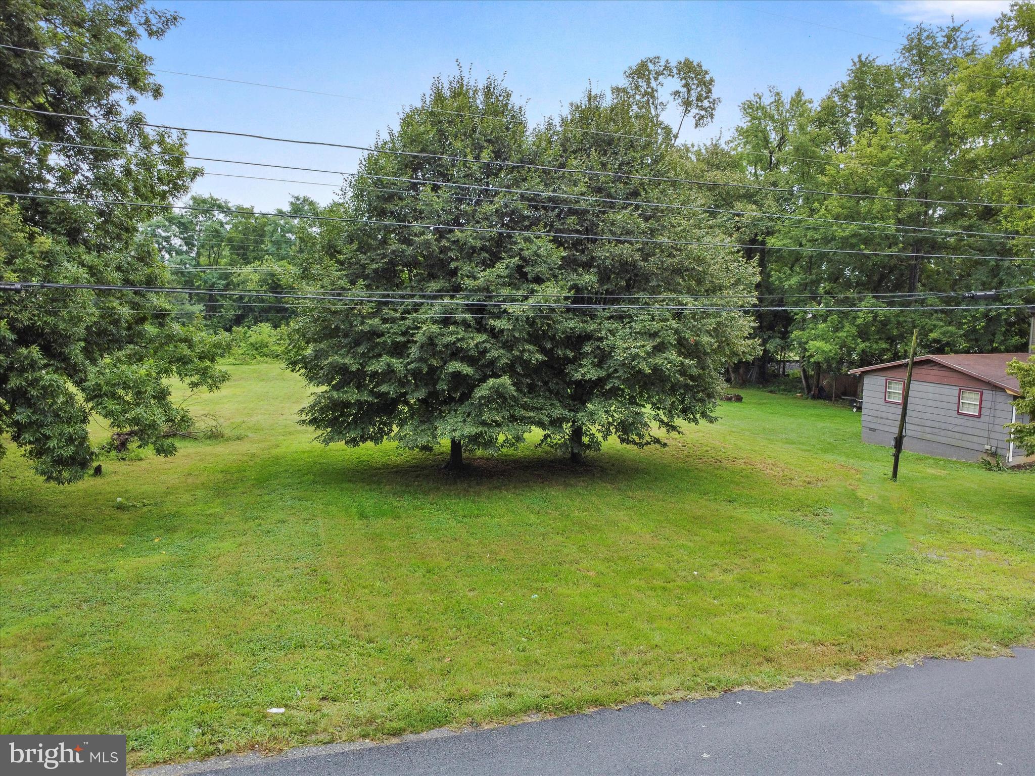 406 Burns Street Ranson, WV 25438 - Photo 22 of 32 a view of a green yard with large trees