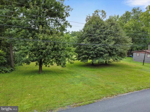 a view of a green yard