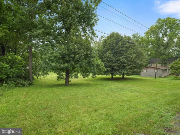 a view of a trees in a yard