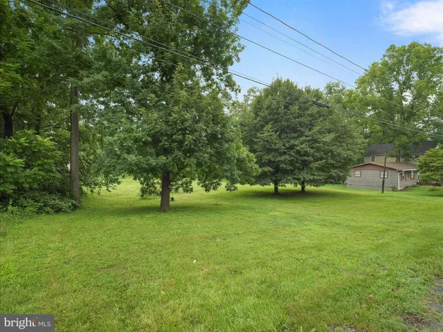 a view of a trees in a yard