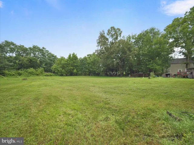 a view of a field with trees in the background