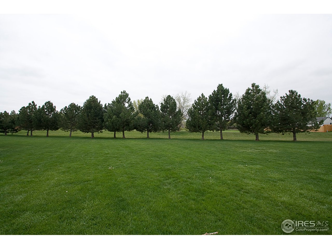 1213 West Swallow Road, Unit 211 Fort Collins, CO 80526 - Photo 11 of 14 Gallery Image 11