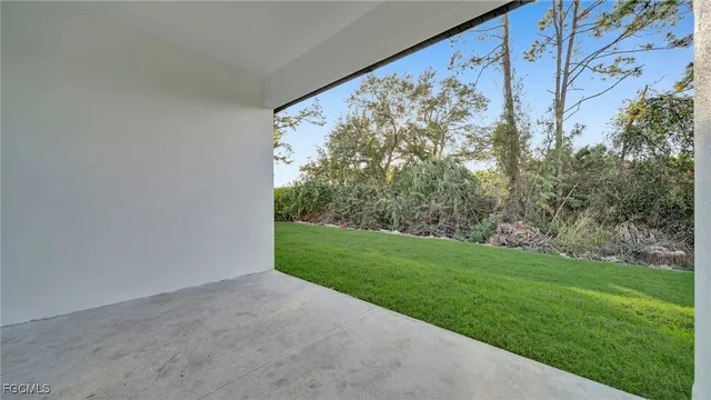 a view of a yard with a large tree