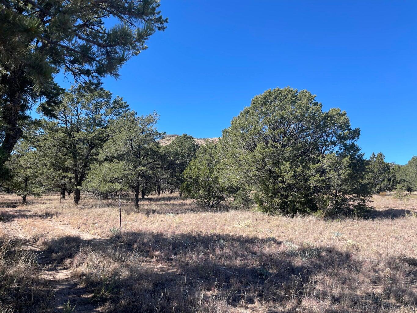 111 Homestead Trail Datil, NM 87821 - Photo 30 of 37 Gallery Image 30