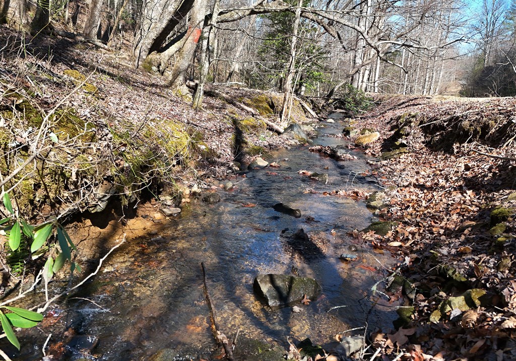 465 Faith Acres Road Blairsville, GA 30512 - Photo 21 of 41