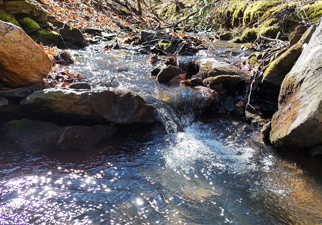 465 Faith Acres Road Blairsville, GA 30512 - Photo 25 of 41