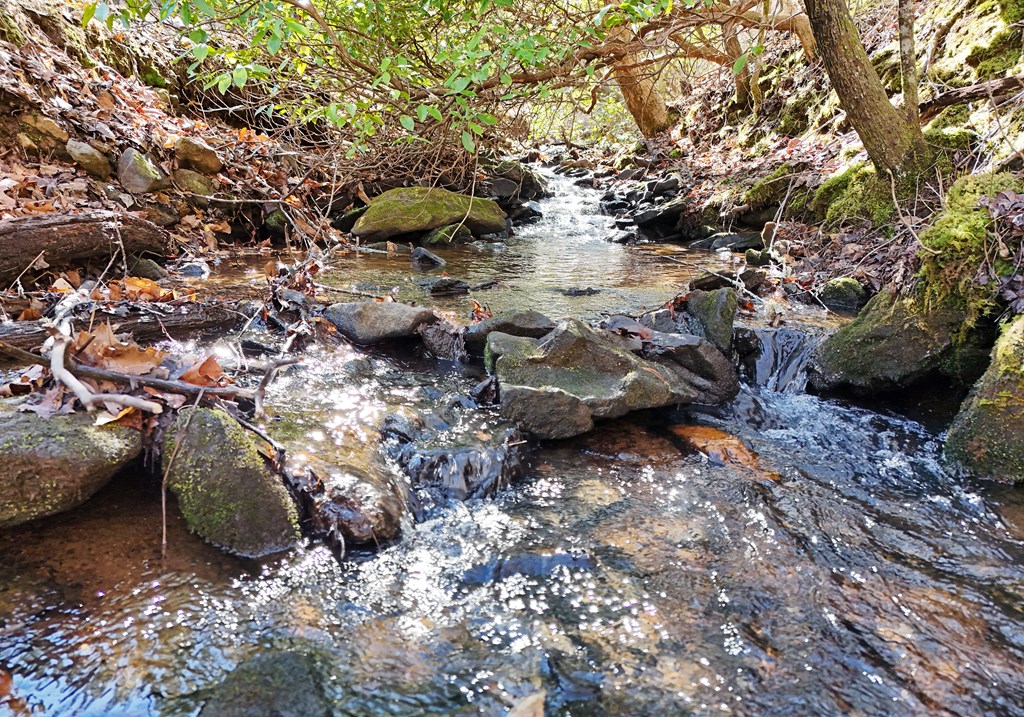 465 Faith Acres Road Blairsville, GA 30512 - Photo 26 of 41