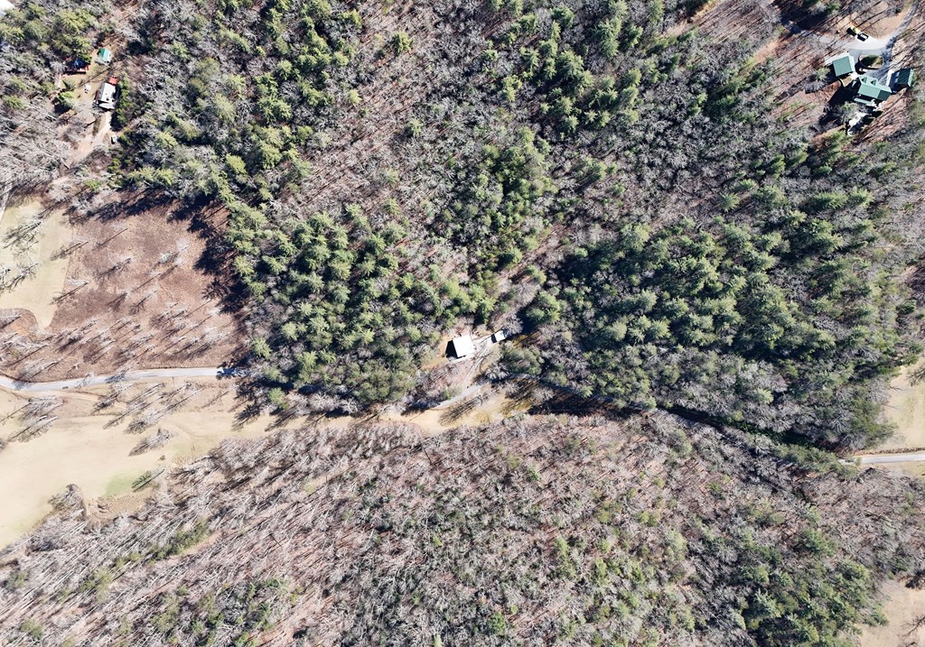 465 Faith Acres Road Blairsville, GA 30512 - Photo 35 of 41