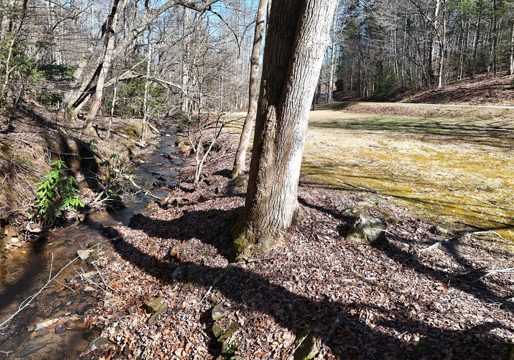 465 Faith Acres Road Blairsville, GA 30512 - Photo 39 of 41