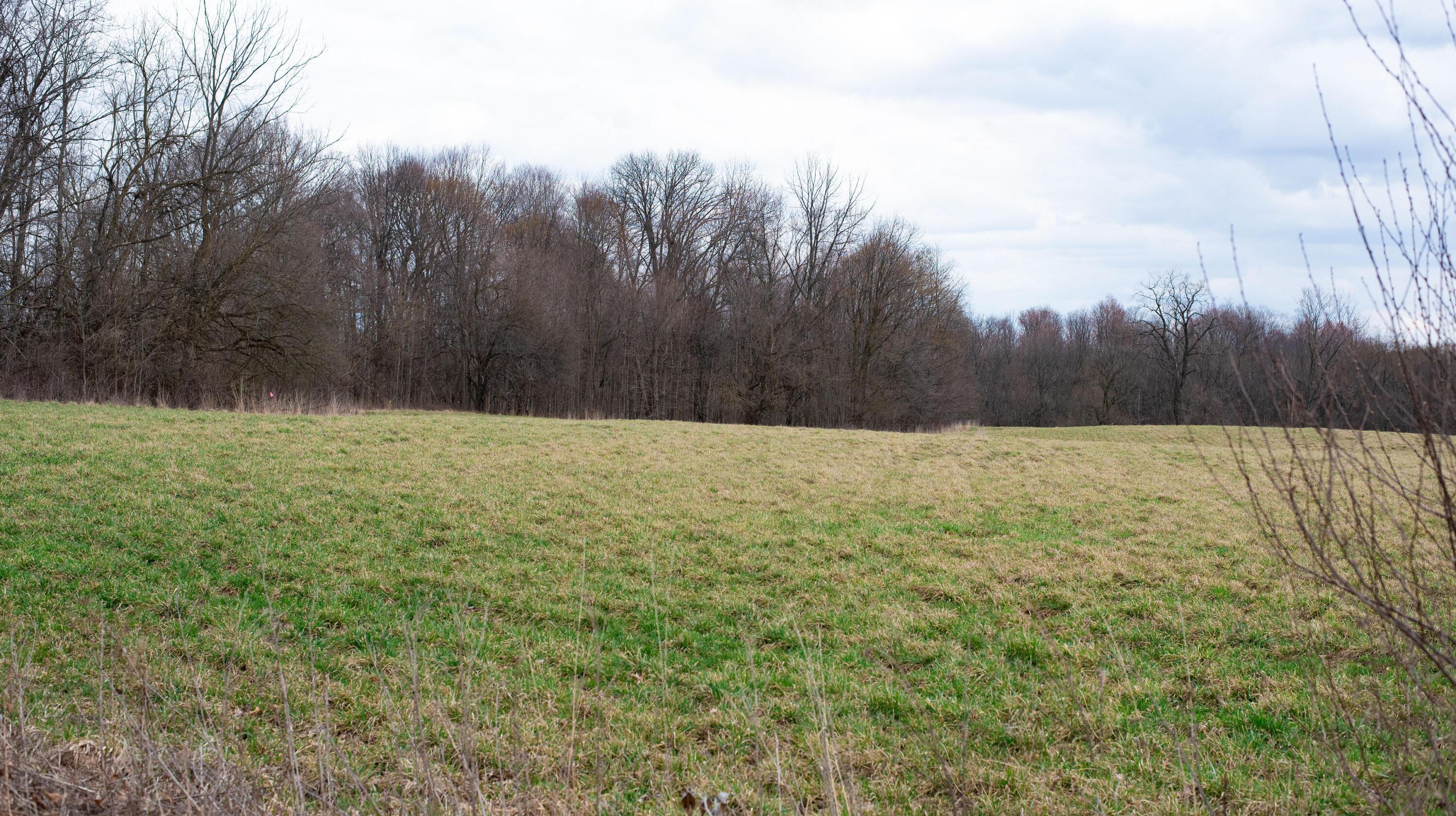0 Twp Road Fredericktown, OH 43019 - Photo 9 of 15 3-4