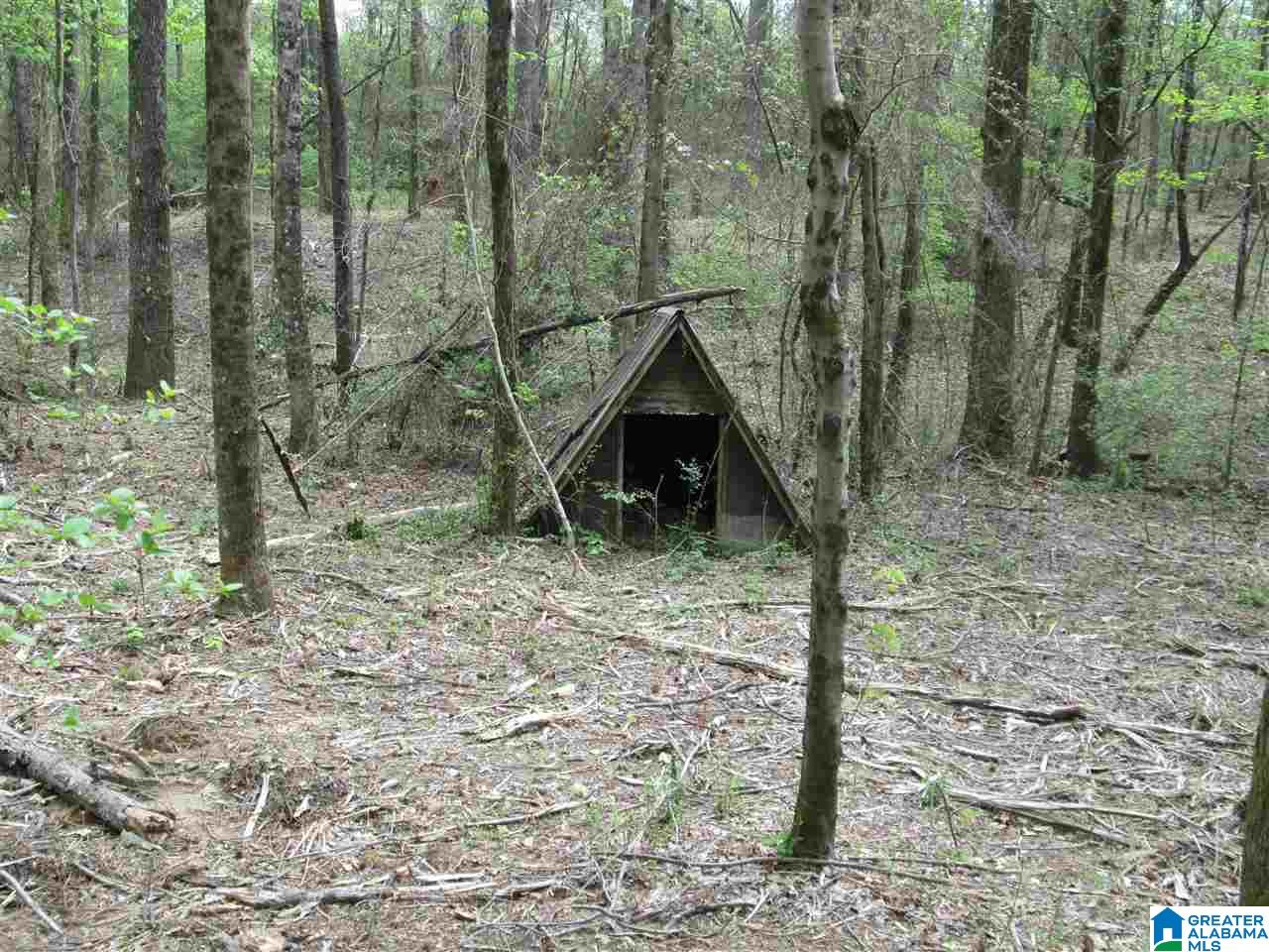 2460 Corner Road Warrior, AL 35180 - Photo 7 of 13