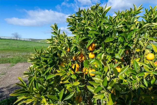 $1,995,000 | 3940 Gruenhagen Flat Road, Paso Robles, CA 93446