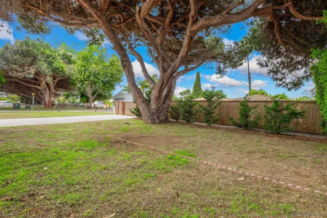 a view of a trees with a yard