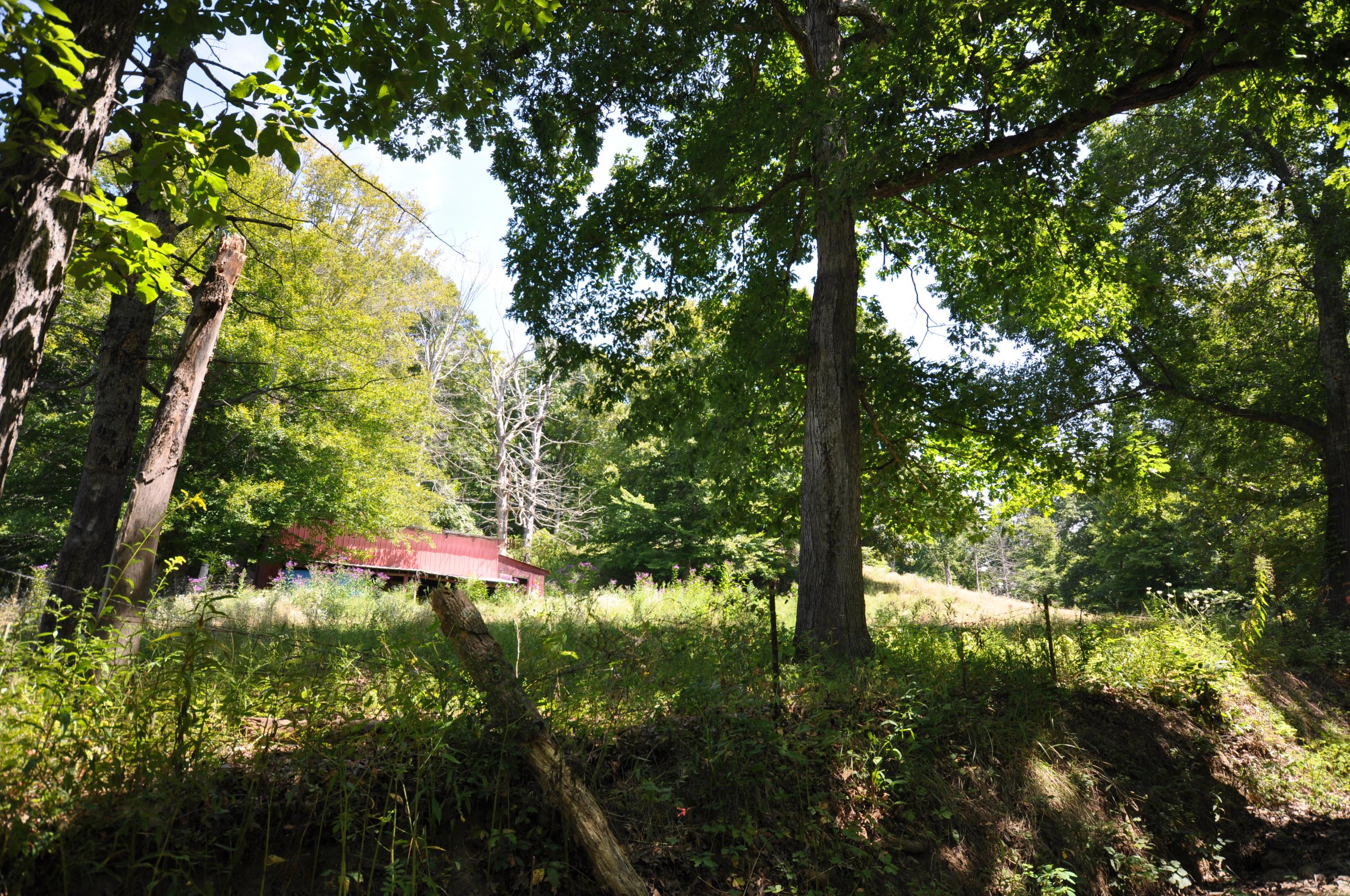 35000 Geiger Road Logan, OH 43138 - Photo 2 of 22 Gallery Image 2