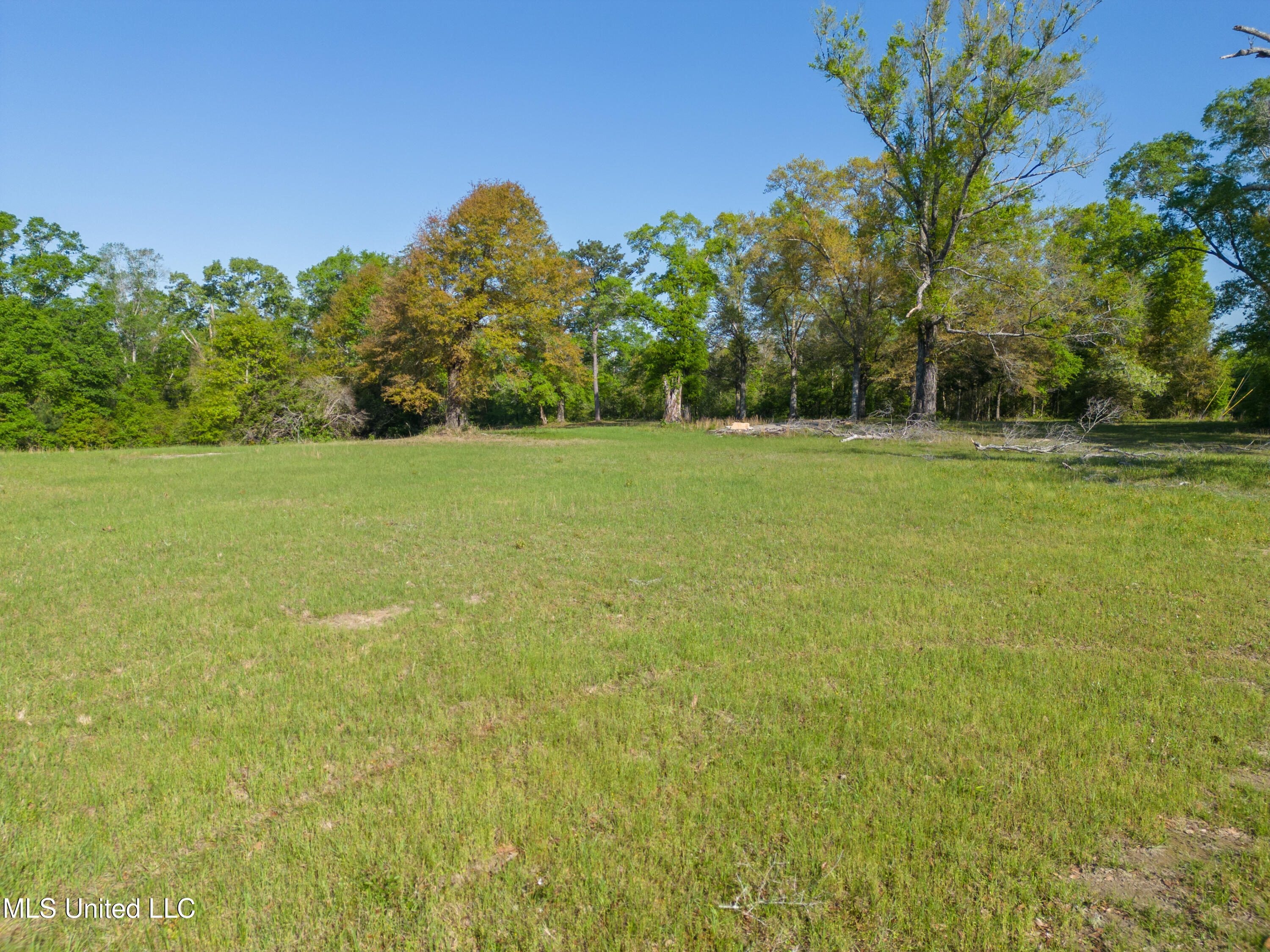 River Road Lucedale, MS 39452 - Photo 11 of 20 LD-11
