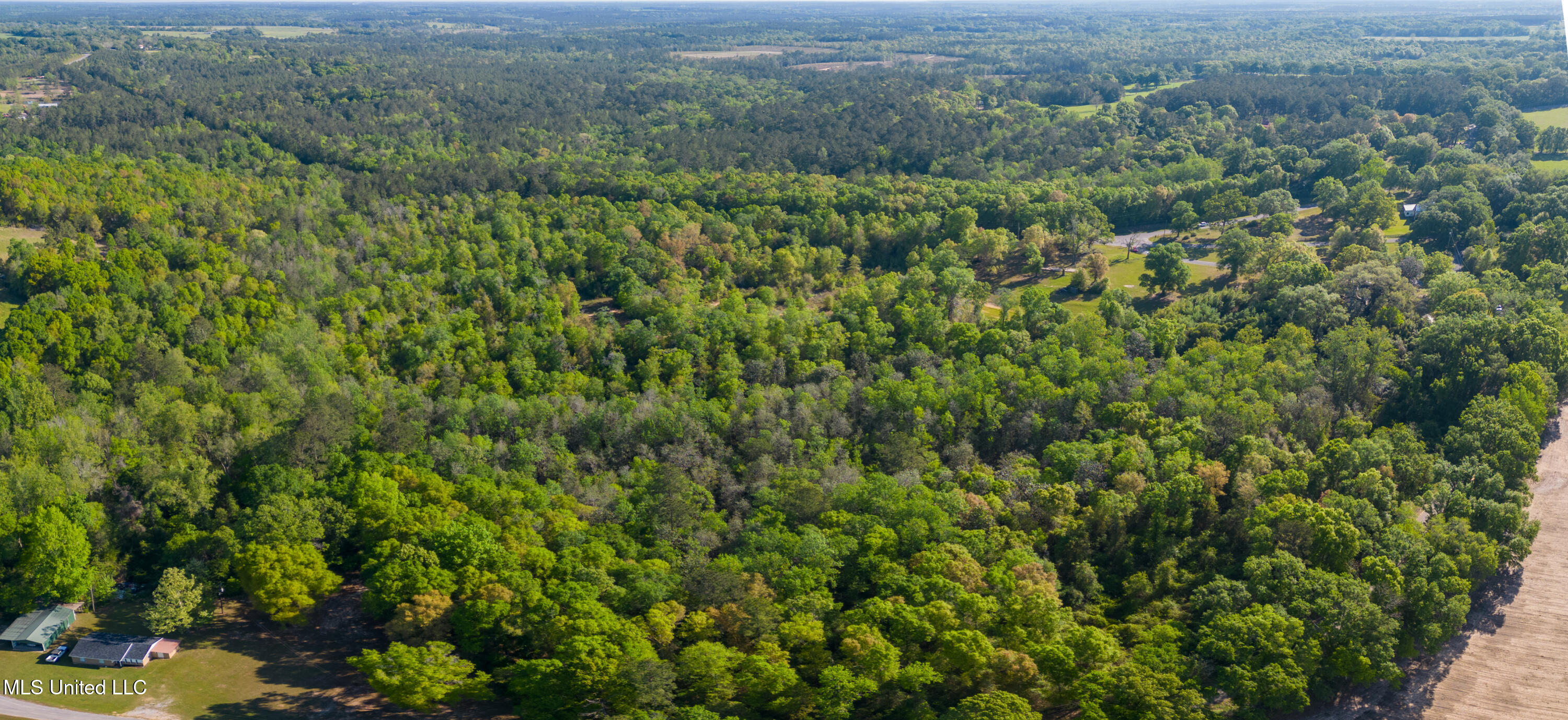 River Road Lucedale, MS 39452 - Photo 4 of 20 LD-4