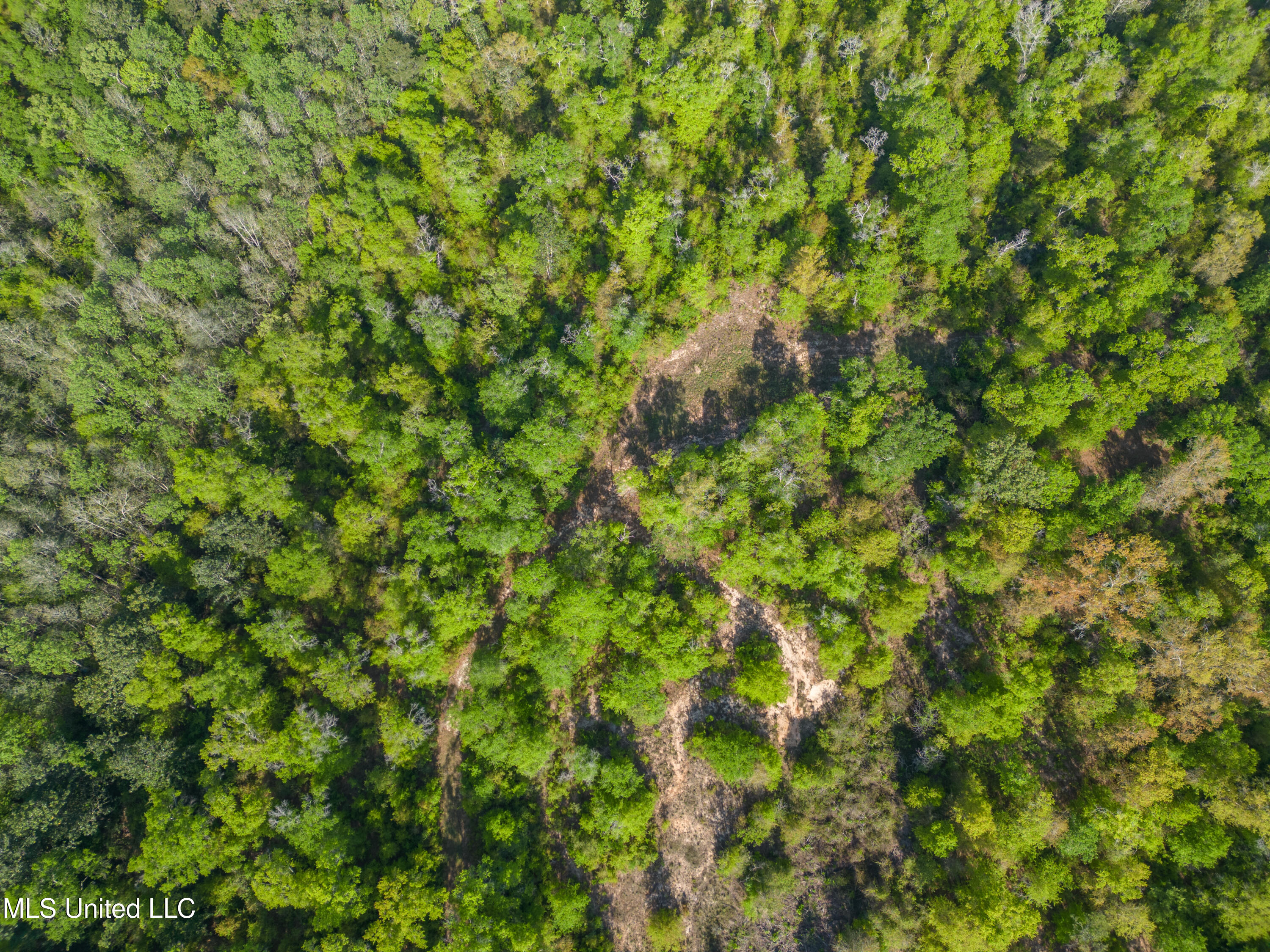 River Road Lucedale, MS 39452 - Photo 5 of 20 LD-5