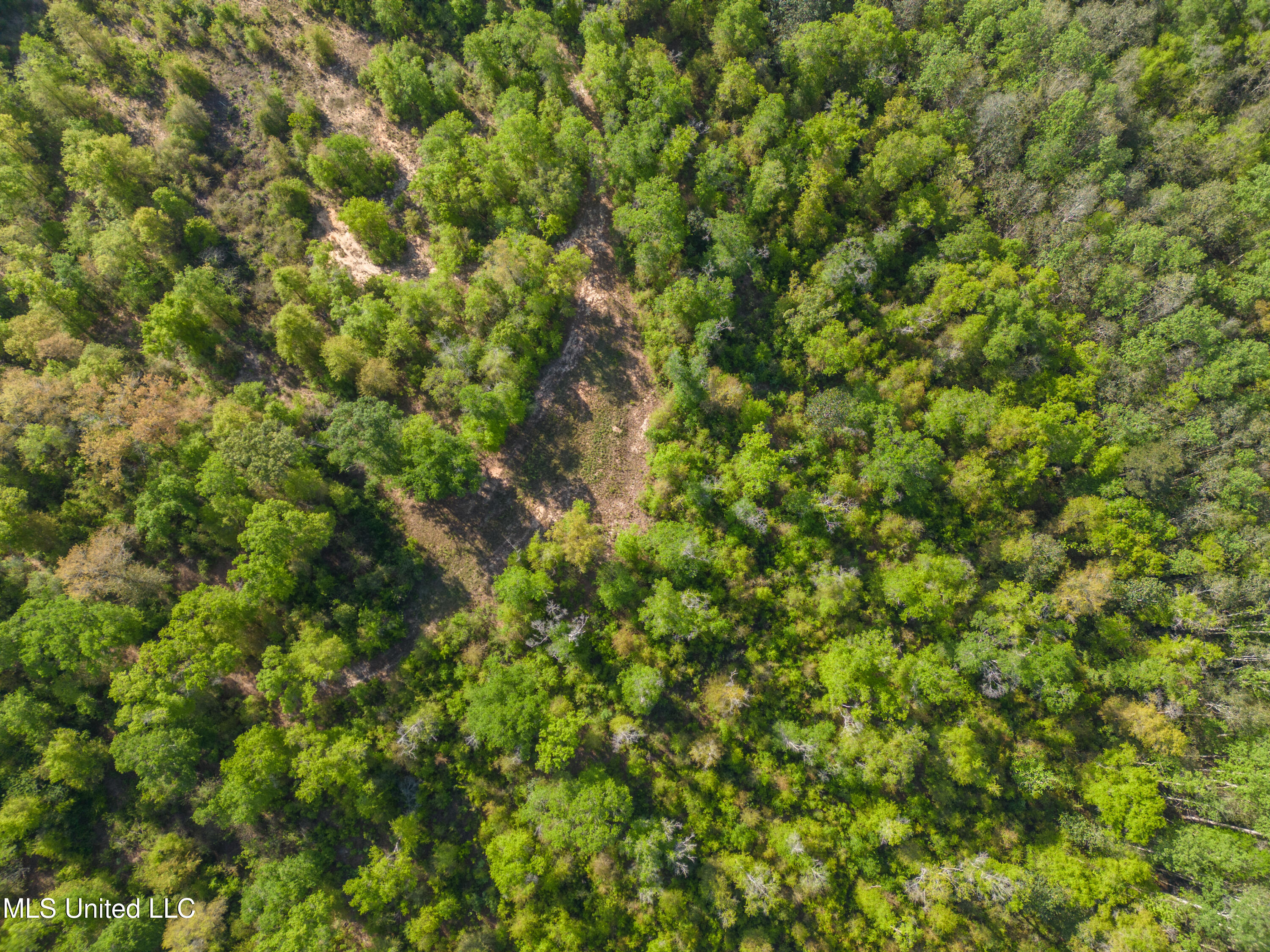 River Road Lucedale, MS 39452 - Photo 8 of 20 LD-7
