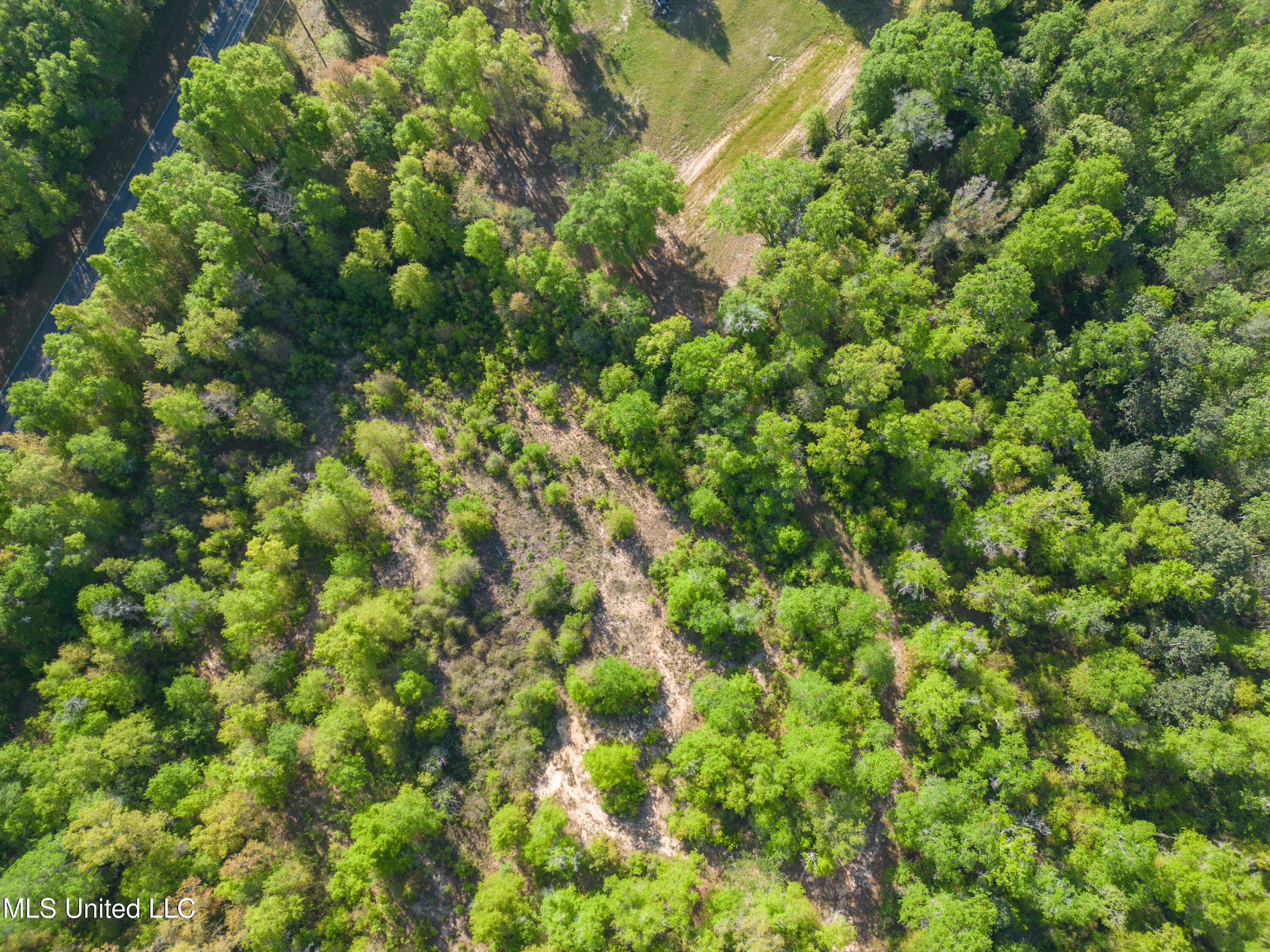 River Road Lucedale, MS 39452 - Photo 9 of 20 LD-8