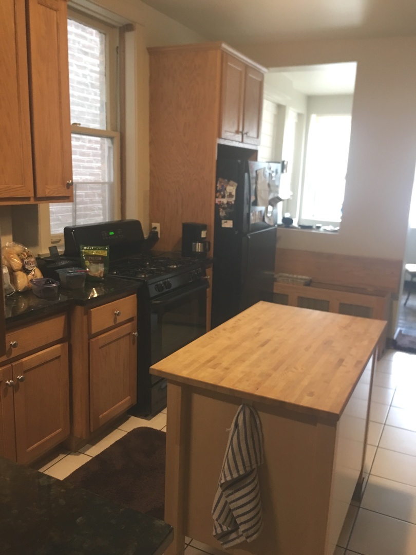 3128 South Princeton Avenue Chicago, IL 60616 - Photo 3 of 8