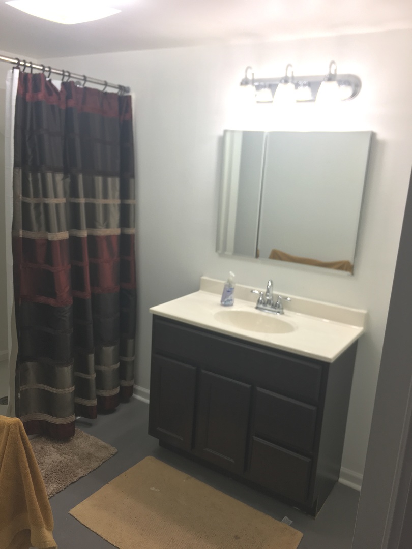 3128 South Princeton Avenue Chicago, IL 60616 - Photo 7 of 8