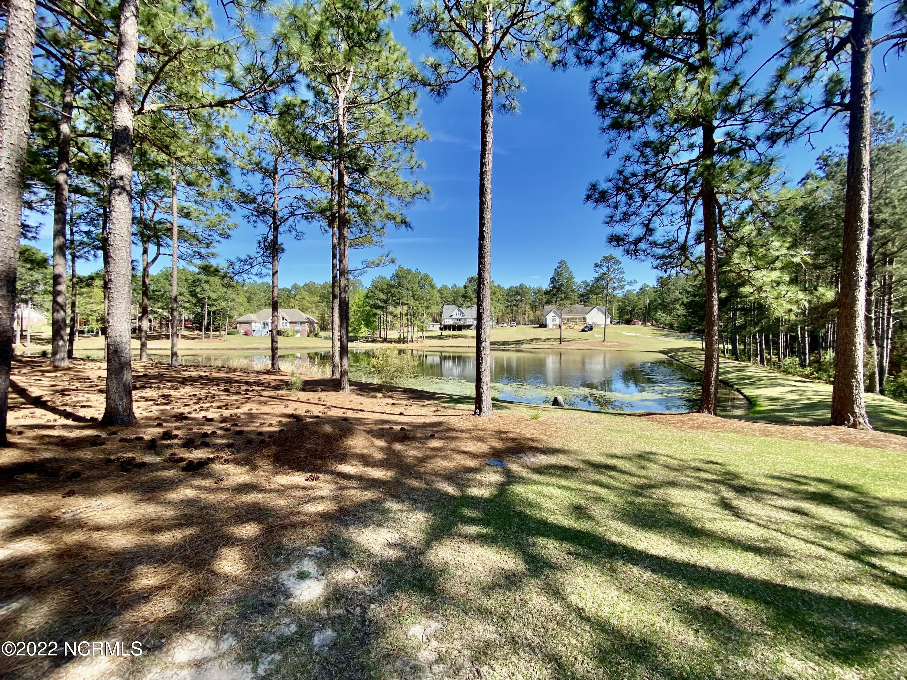 179 East V Hogan Drive Rockingham, NC 28379 - Photo 28 of 33 Lake view