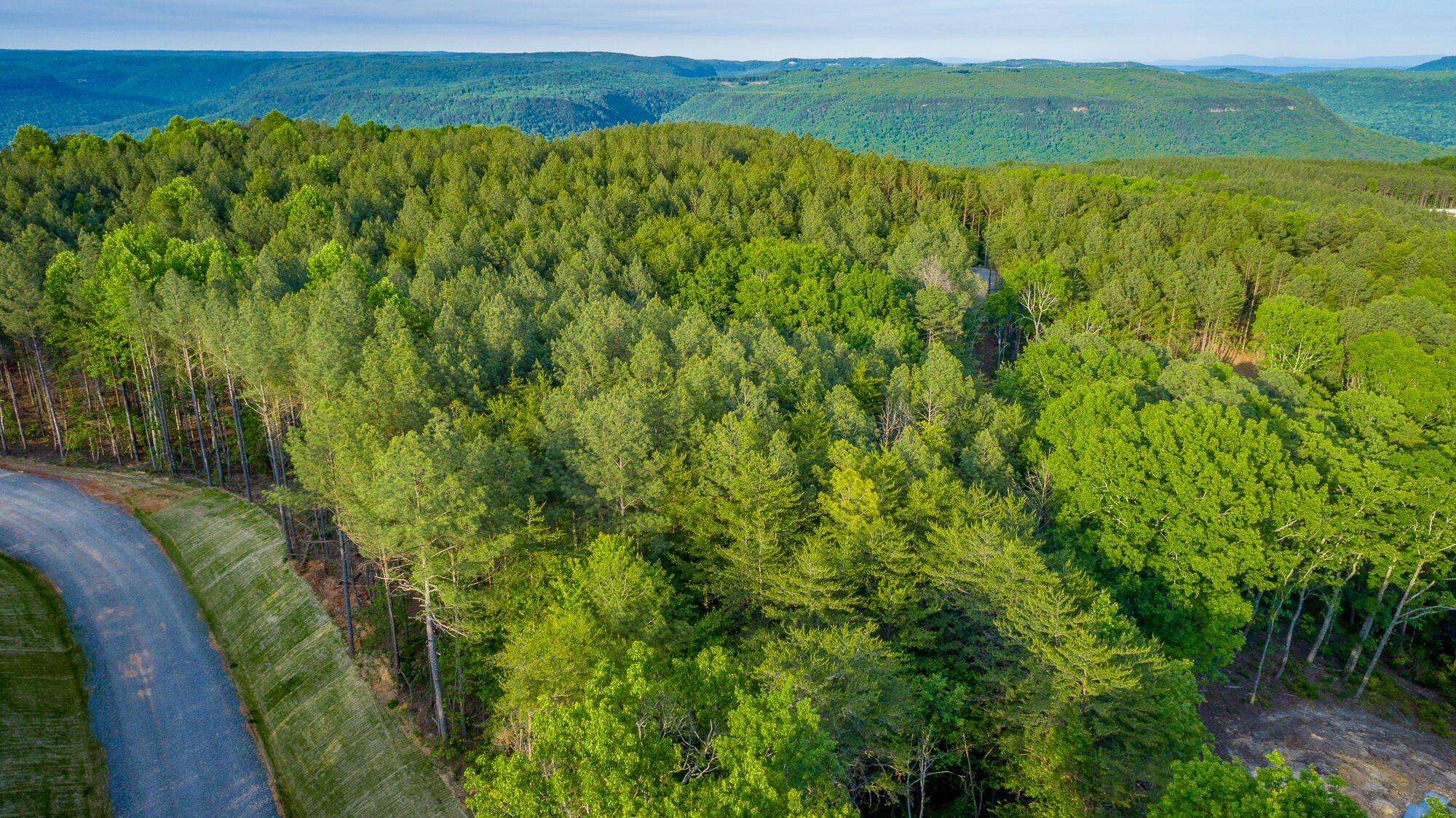 0 Cannon Way, Unit LOT 1317 Guild, TN 37340 - Photo 28 of 99 0 Cannon Way - Lot 1317 HD-12